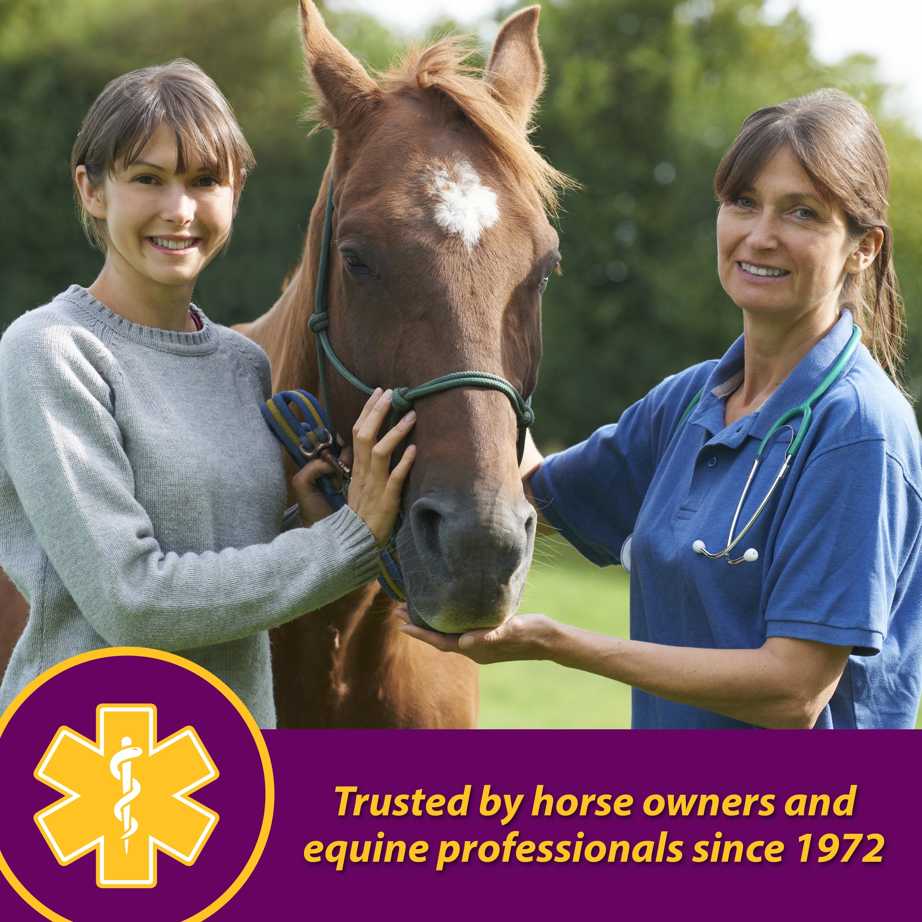 Horse Health Products Red Cell Vitamin-Iron-Mineral Supplement, 1 Gallon