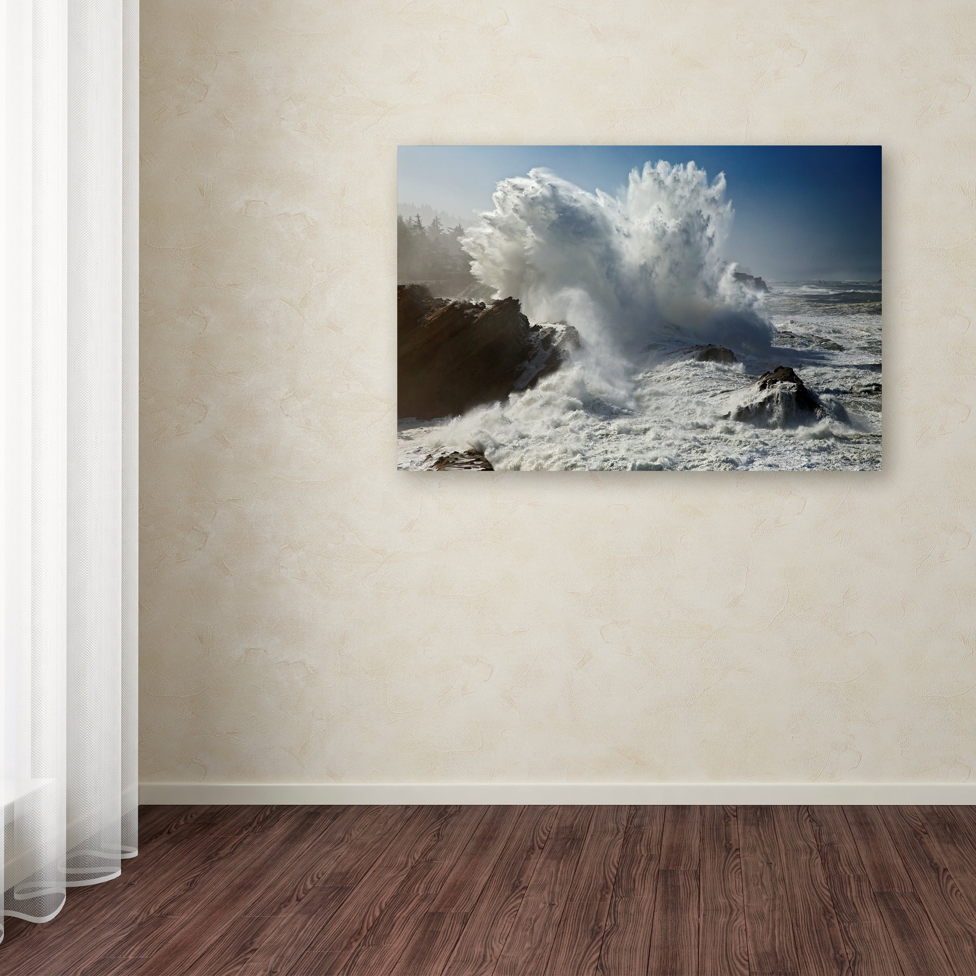 Trademark Fine Art 'Oregon Shore Acres SP Wave' Canvas Art by Mike Jones Photo