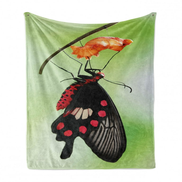 Swallowtail Butterfly Soft Flannel Fleece Throw Blanket Moment Coming out of Cocoon Chrysalis Transformation Cozy Plush for Indoor and Outdoor Use