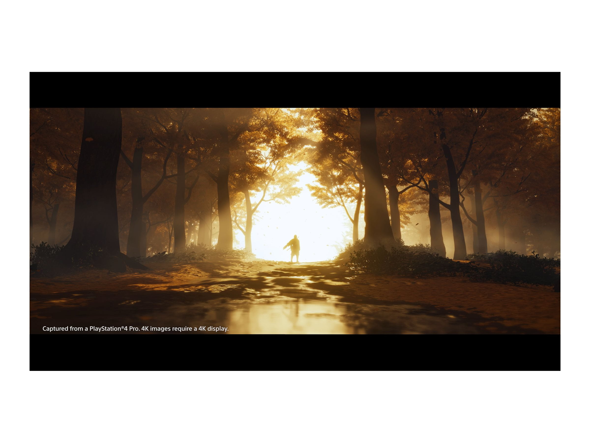Sony Ghost of Tsushima Director's Cut-PS4 Video Game