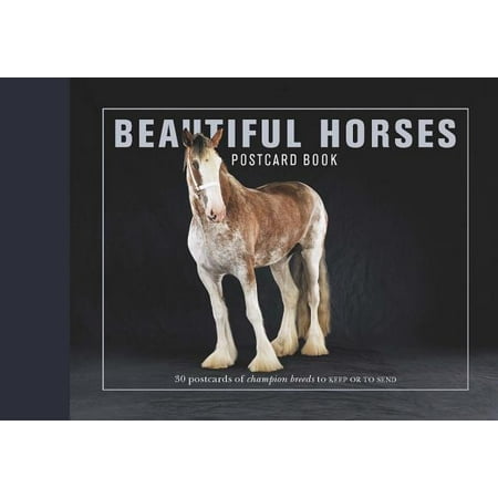 30% Post Consumer Material - Beautiful Horses Postcard Book : 30 Postcards of Champion Breeds to Keep or to Send