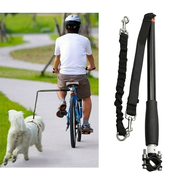 Dog bike hotsell walker