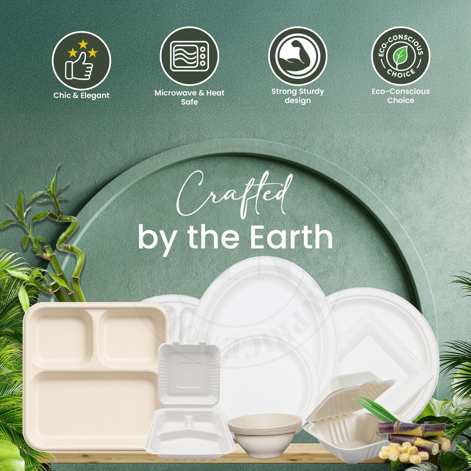 FPN Plates Square 3-Compartment 125 Pack Disposable Trays – Sugarcane Fiber, Biodegradable & Compostable, Paper Plates for Meals, Catering, School Lunch, Microwave & Freezer Safe