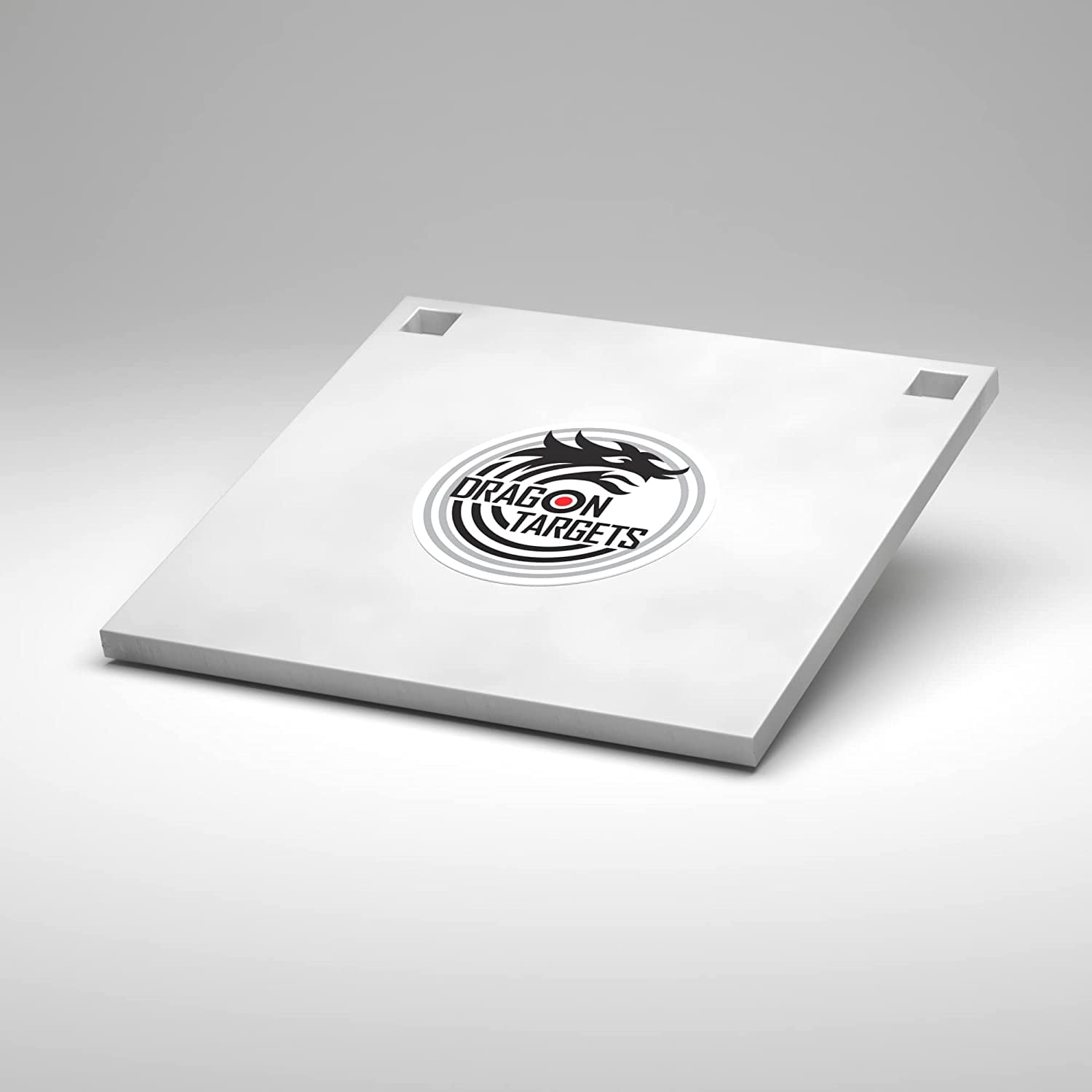 Dragon Targets AR500 Steel Targets for Shooting 3/8 inch Thick Laser Cut, Painted AR500 8" X 8" Square