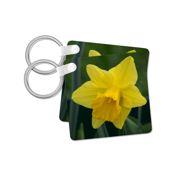 3dRose, Daffodil, set of 2 Key Chains
