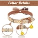 thumbnail image 3 of Set de collar y correa para perros EXPAWLORER Classic Plaid para mascotas, 3 of 5