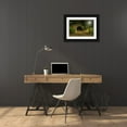 thumbnail image 3 of Looney, Hollice 18x13 Black Ornate Wood Framed with Double Matting Museum Art Print Titled - USA-New York Central Park, 3 of 4