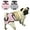 Pink, variant on Didog Reusable Dog Diaper Washable Pet Pant Puppy Diapers For Both Female & Male Dogs