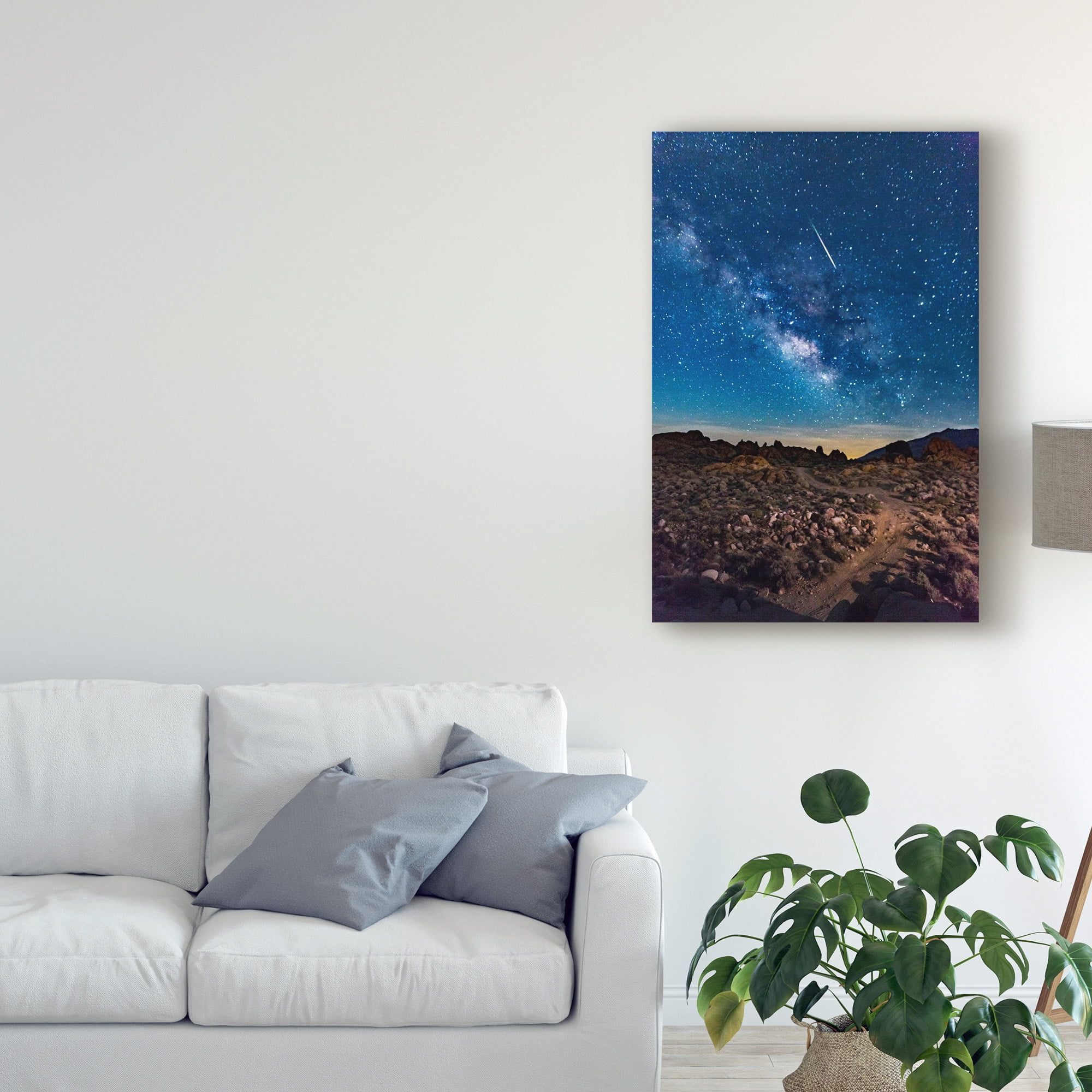 Trademark Fine Art 'Shooting Star With Milky Way' Canvas Art by American School