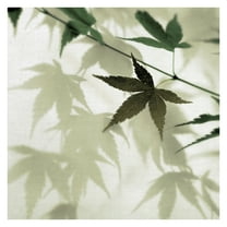 Masterpiece Art Gallery Japanese Maple Leaves #1 by Alan Blaustein Canvas Art Print 30" x 30"