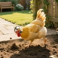 thumbnail image 5 of 1 unidad de artículos para mascotas: divertido casco de gallina para pájaros, 5 of 5