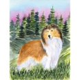 thumbnail image 1 of Carolines Treasures SS8321GF Sheltie Flag - Garden Size, 1 of 3