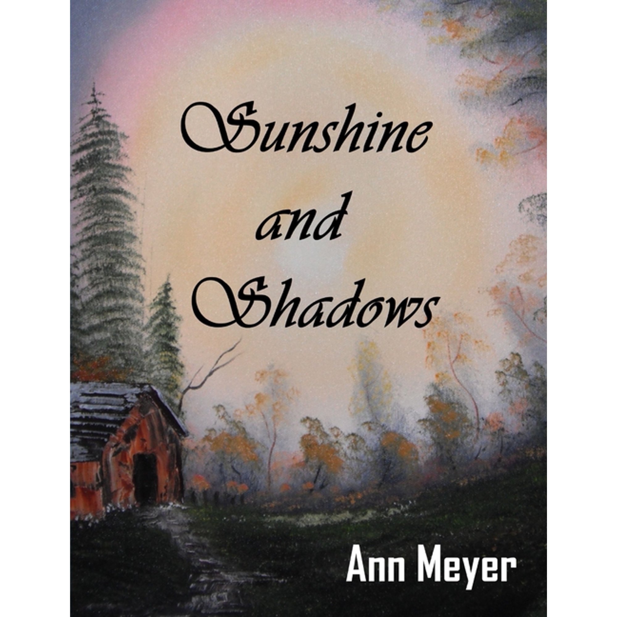 Sunshine and Shadows (Paperback)