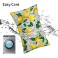 thumbnail image 6 of Honeii Lemon1 Print Pillow Cases,Plush Throw Pillow Covers,Decorative Pillowcase for Sofa, Couch, Living Room-20"x30", 6 of 6