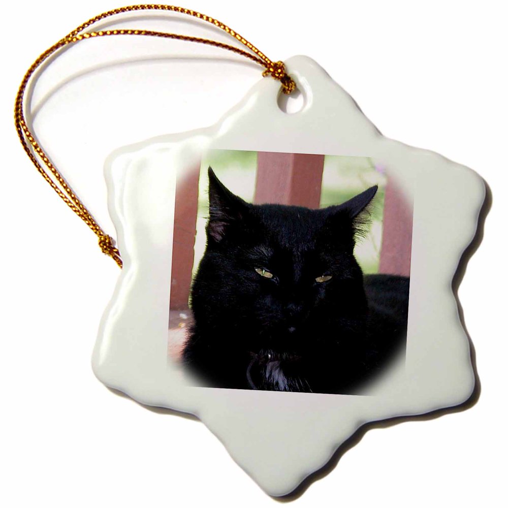3dRose Black Cat Snowflake Ornament, 3inch