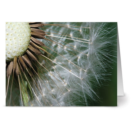 24 Floral Note Cards - Make A Wish - Blank Cards - Yellow Envelopes