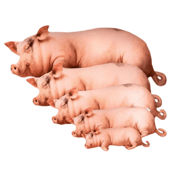 Lifelike Pig Plush Toy Stuffed Soft Animal Pig Doll for Birthday Gift Toy Pet Doll 23-51in