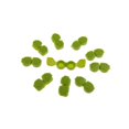 thumbnail image 1 of 10 Pcs Mini Étui à Lentilles de Contact à Couvercle Rabattable Kit de Voyage Support Boîte de Trempage Vert, 1 of 8