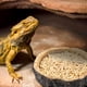 thumbnail image 2 of Paquete de 2 cuencos para comida de reptiles Vhermosa cuencos de agua y comida, 2 of 4