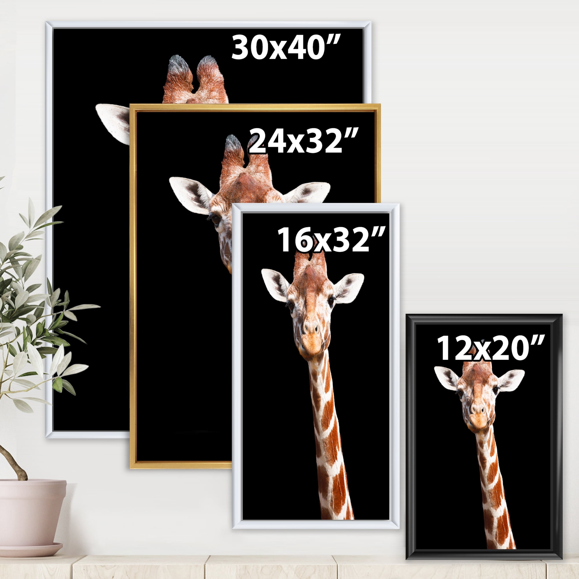 Close Up Portrait Of A Giraffe On Black V 24 in x 32 in Framed Photography Canvas Art Print, by Designart