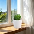 thumbnail image 3 of Artificial Potted Plants with White Plastic Pots for Home and Office Decor, Small Flower Arrangements for Indoor Spaces, 3 of 5