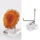 thumbnail image 5 of Estante de soporte de exhibición de acrílico duradero para minerales rocas de de cristal de concha coleccionables - L multi Hugo soportes de exhibición, 5 of 10