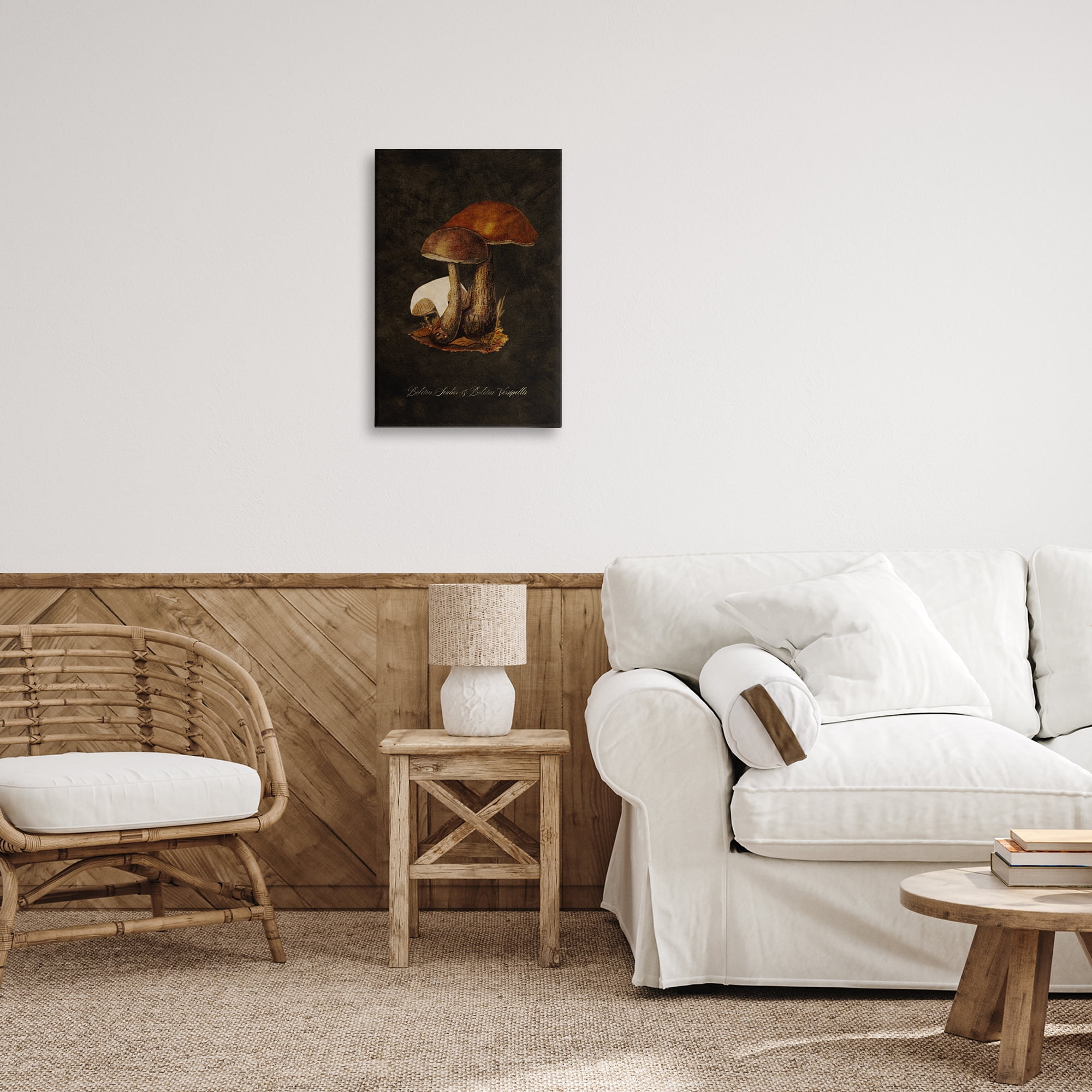 Stupell Industries Mushroom Types Study Plants & Flowers Painting Wrapped Canvas Art Print Wall Art, 16 x 24