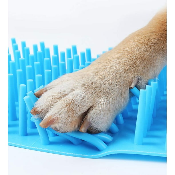 Test du nettoyeur de pattes pour chiens - Esprit Dog