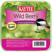 10Pc Kaytee Wild Berry High Energy Suet