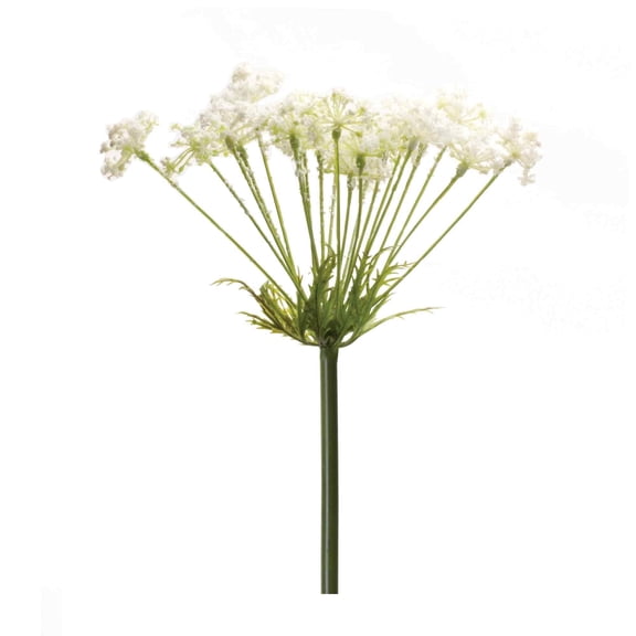 Melrose International LLC Queen Anne's Lace Stem (Set of 2) 29"H Plastic