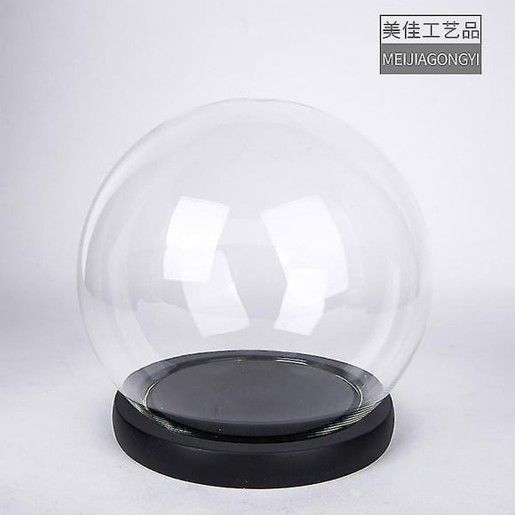 Miniature Glass Display Dome Round Plant Dome Glass Display Case With Base