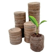 Jiffy 34-Cell 11 In. x 11 In. Self Watering Greenhouse Seed Starter Kit T34HG