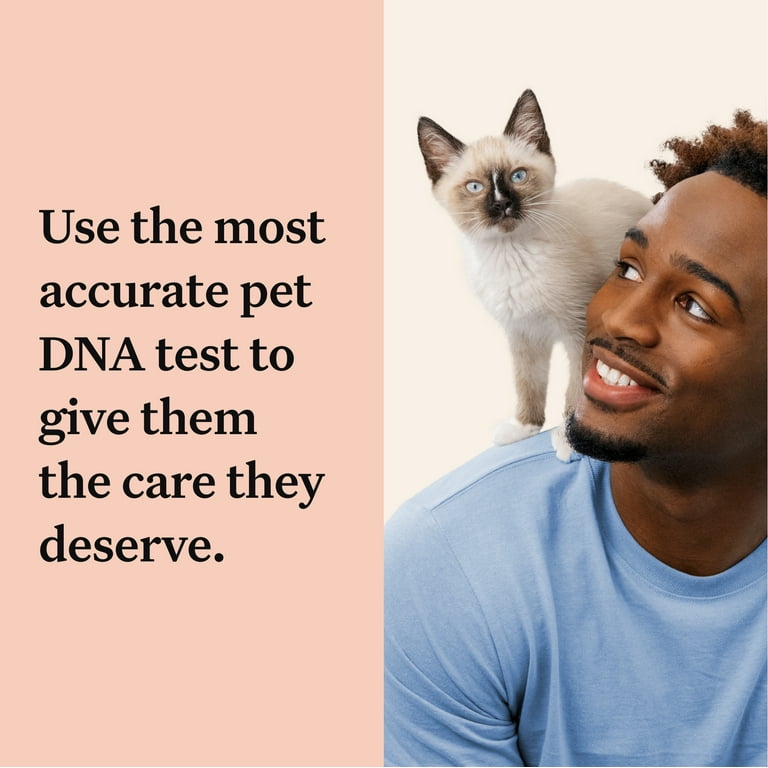 Wisdom health dna best sale test