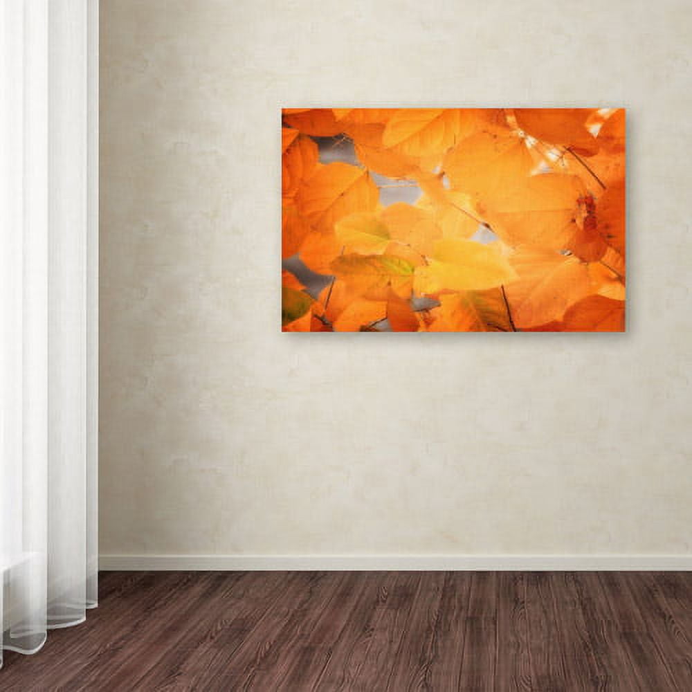 Trademark Fine Art "Seasonal Leaves" Canvas Art by Philippe Sainte-Laudy