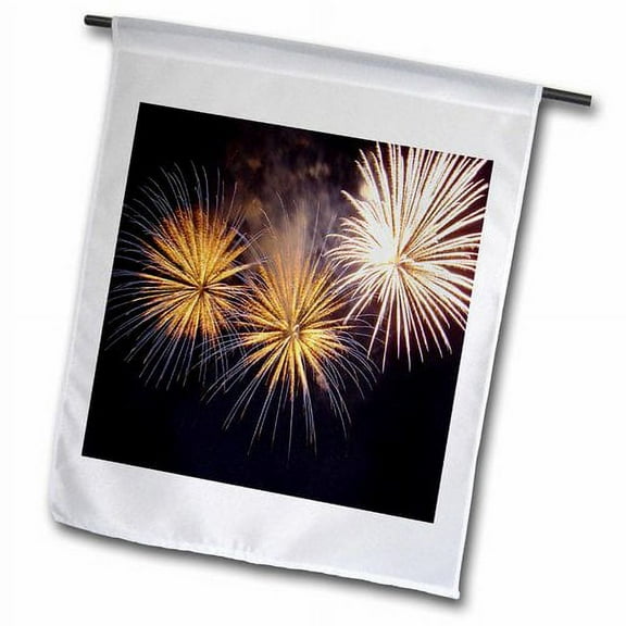 3dRose, Fireworks - fireworks, golden fireworks, new year, party, bonfire night, diwali, divali, 18 x 27 inch Garden Flag