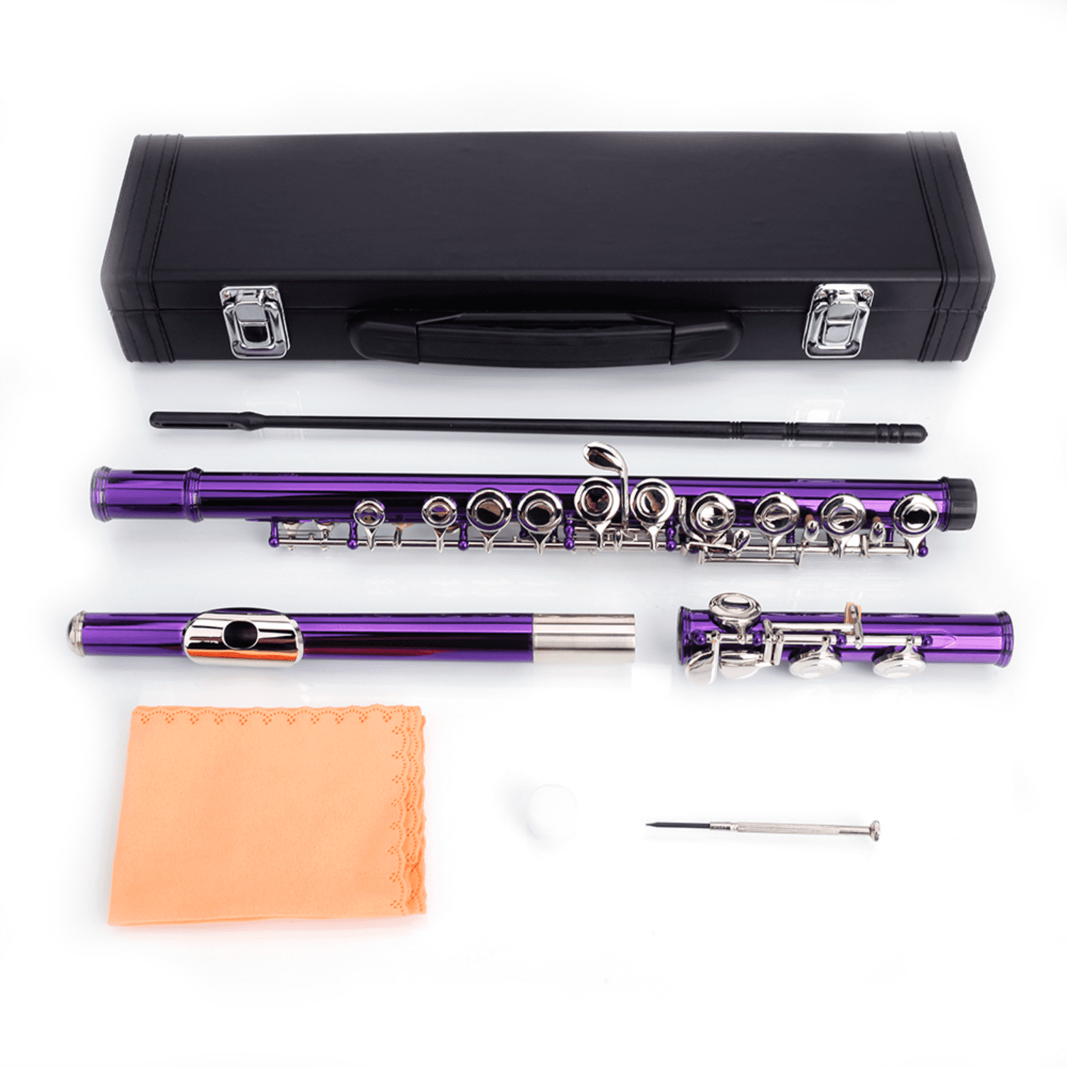 Hassch C Flute 16 Closed Hole for Beginners with Case, Cloth, Screwdriver, Lubricant and Cleaning Rod, Purple