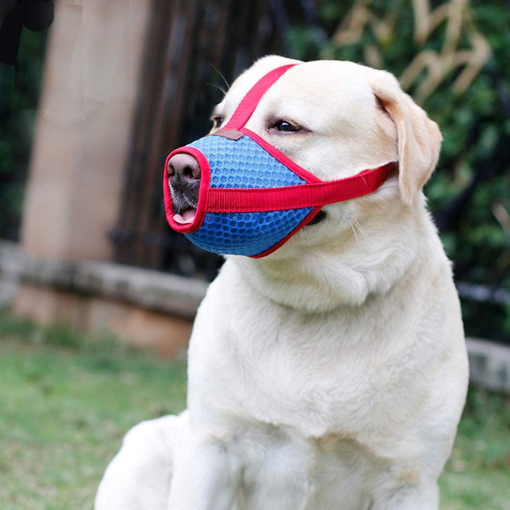 Do Muzzles Stop Dogs Barking