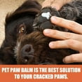 Dog Grooming Lotion, Dog Paw and Nose Lotion, heals and moisturizes dog