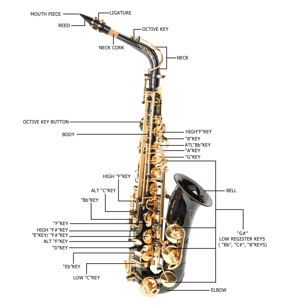 Tcbosik Eb Saxophone for Beginners with Box, Strap, Lubricants, Gloves and Cleaning Kit, Black