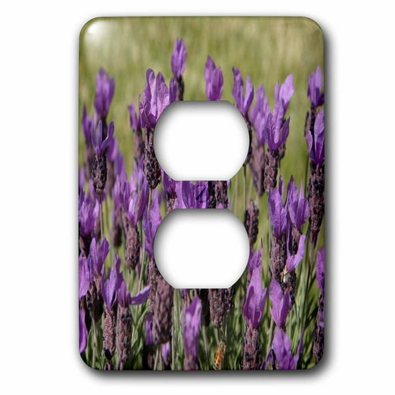 3dRose, Flowers Pretty Lavender, 2 plug outlet cover