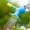 Blue BU, variant on Gecau Watering Sprinkler Nozzle 2 In 1 For Flower Waterers Bottle Watering Cans Sprinkler Plant Irrigation Easy Tool Watering Supplies Blue Creative 2.4x1