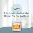 thumbnail image 3 of Clear Air 15 oz (2-Pack) Odor Absorber Gel - Effective & Fast Odor Removal - Citrus Grove Scent, 3 of 8