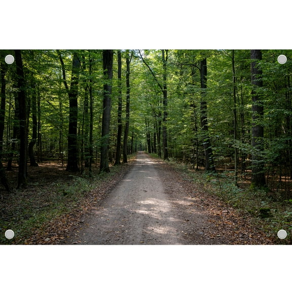 Diha 5x4ft Forest Trail Backdrop, Path Deciduous Vegetation Trees, Backdrop for Party Decoration, Outdoor Theme Bedroom Wedding Day Photoshoot Background, Kids Game Video Studio Props