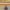 Yellow, variant on Nourison Baja Southwestern Trimmed Ivory/Grey 5' x 7' Area Rug, (5' x 7')