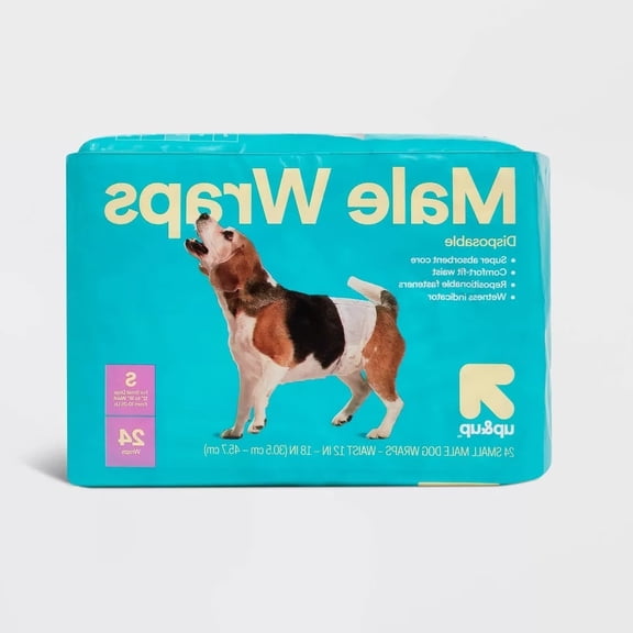 Male Wrap Dog Diapers - 24ct - S