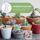 thumbnail image 4 of unbranded 1Jgo Accesorio De Automático Con De Absorbente Para Plantas En Macetas Interiores, 4 of 5