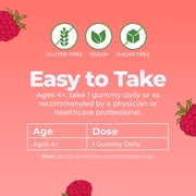 MaryRuths Vitamin D3 + B12 Gummies Bone Health & Immune Support Sugar Free Vegan Raspberry 60 Gummies