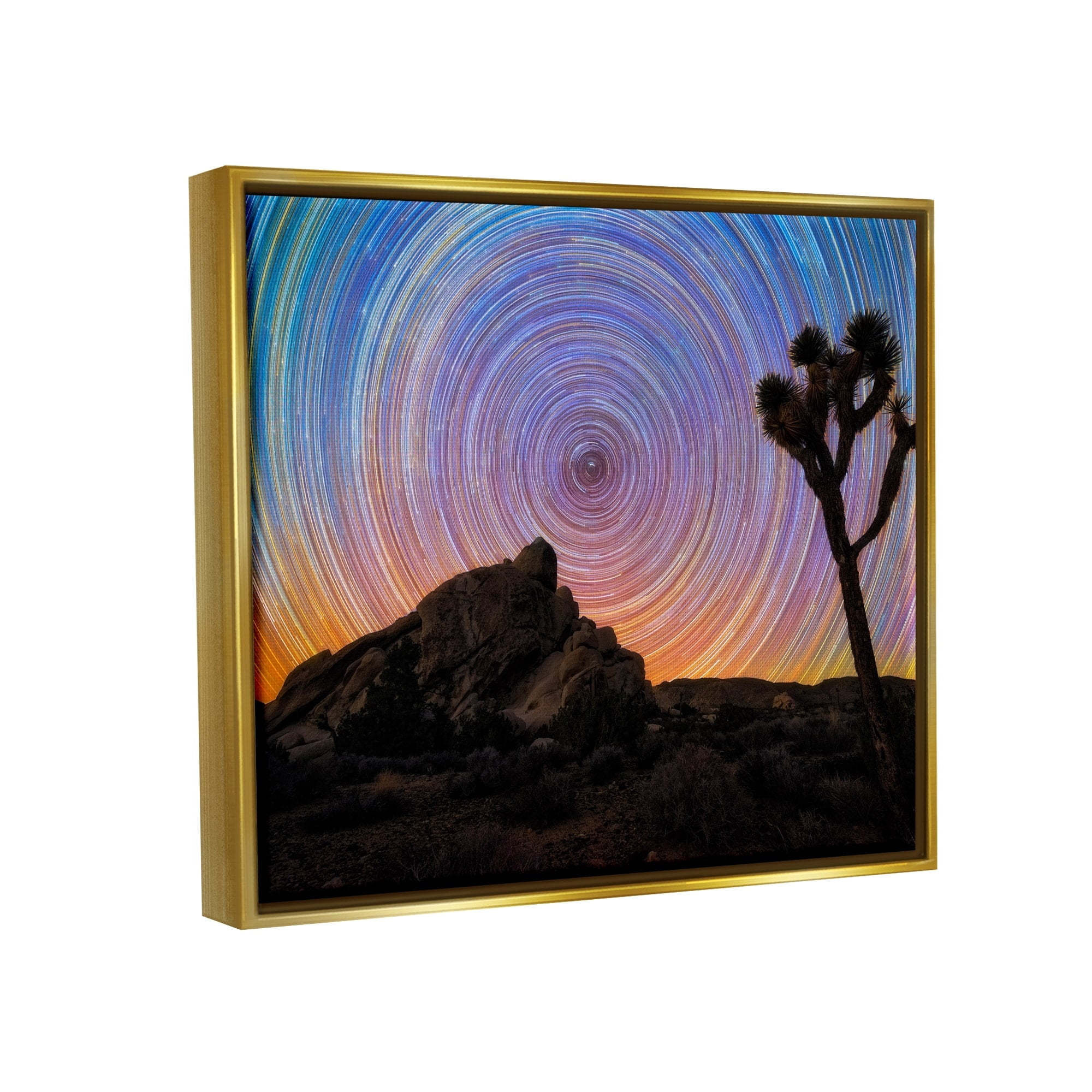 Stupell Industries Kaleidoscopic Swirl Pattern Sky Desert Tree Silhouette Graphic Art Metallic Gold Floating Framed Canvas Print Wall Art, Design by Lincoln Harrison
