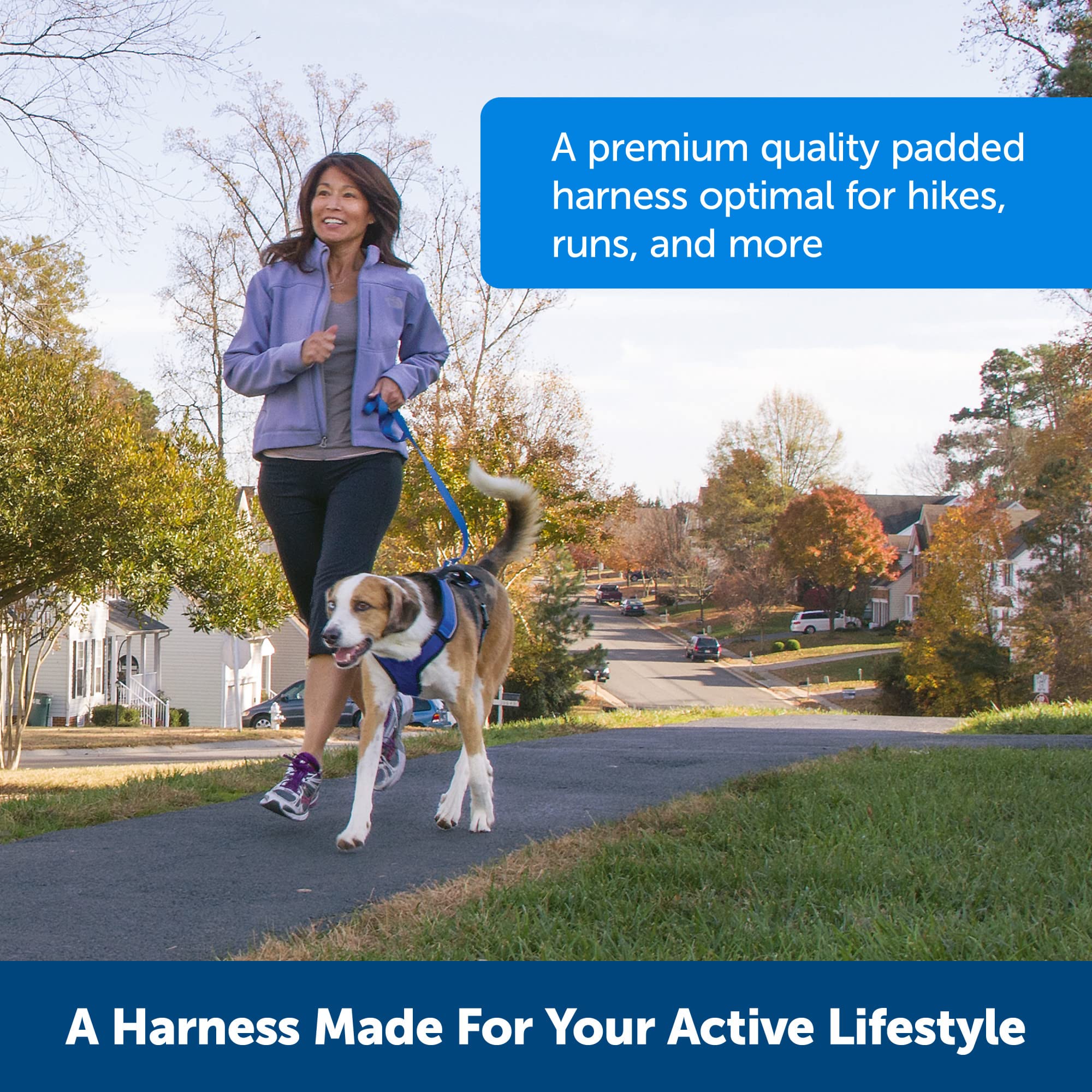 PetSafe EasySport Harness, Fully Adjustable, Top Handle for Quick Control, L, Teal