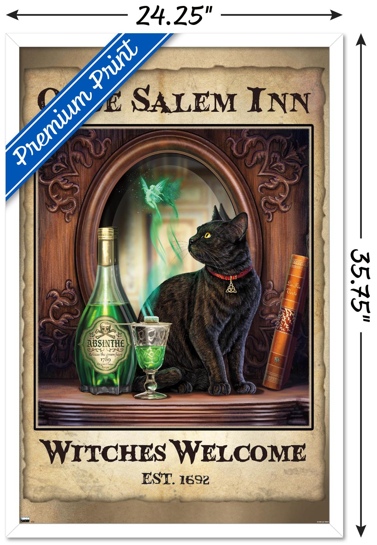 Lisa Parker - Absinthe Witches Welcome Wall Poster, 22.375" x 34", Framed